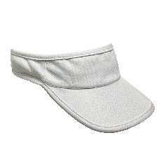Visor