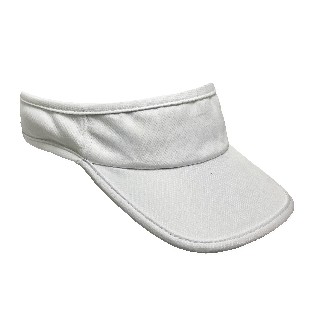 Visor